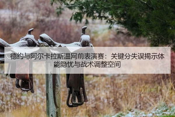 de-yue-yu-a-er-ka-la-si-wen-wang-qian-biao-yan-sai-guan-jian-fen-shi-wu-jie-shi-ti-neng-yin-you-yu-zhan-shu-tiao-zheng-2-850.jpg
