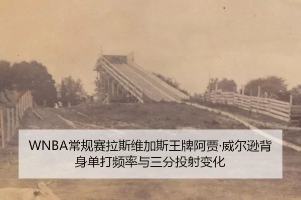 chang-gui-sai-la-si-wei-jia-si-wang-pai-a-jia-wei-er-xun-bei-shen-dan-da-pin-lv-yu-san-fen-tou-she-bian-hua-2-209.jpg