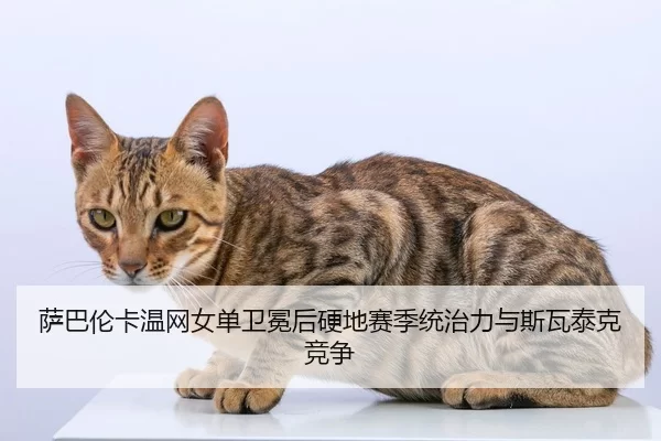 sa-ba-lun-ka-wen-wang-nv-dan-wei-mian-hou-ying-di-sai-ji-tong-zhi-li-yu-si-wa-tai-ke-jing-zheng-2-134.jpg
